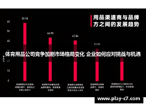 体育用品公司竞争加剧市场格局变化 企业如何应对挑战与机遇