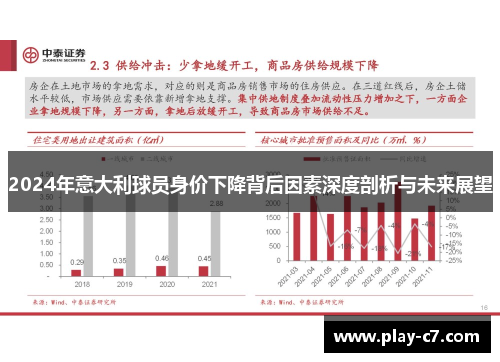 2024年意大利球员身价下降背后因素深度剖析与未来展望