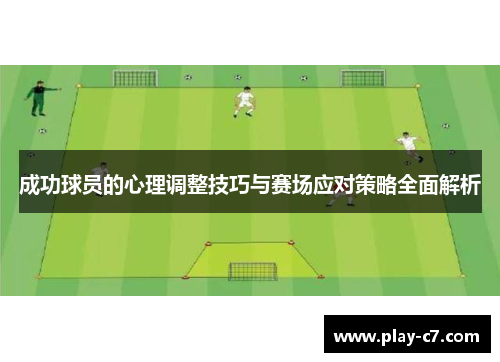 成功球员的心理调整技巧与赛场应对策略全面解析