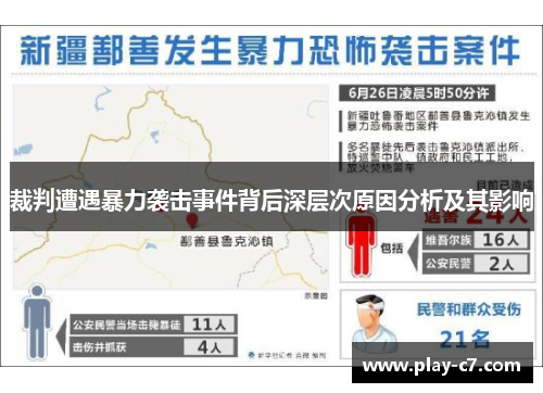 裁判遭遇暴力袭击事件背后深层次原因分析及其影响
