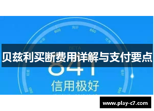 贝兹利买断费用详解与支付要点