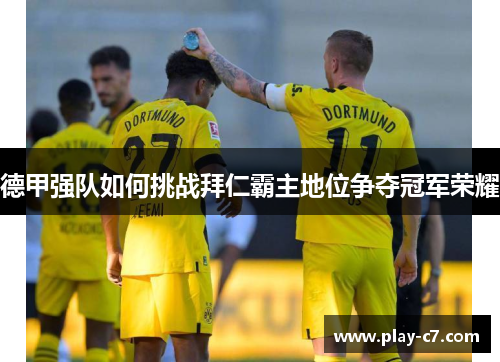德甲强队如何挑战拜仁霸主地位争夺冠军荣耀