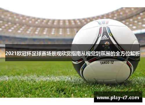 2021欧冠杯足球赛场景观欣赏指南从视觉到氛围的全方位解析