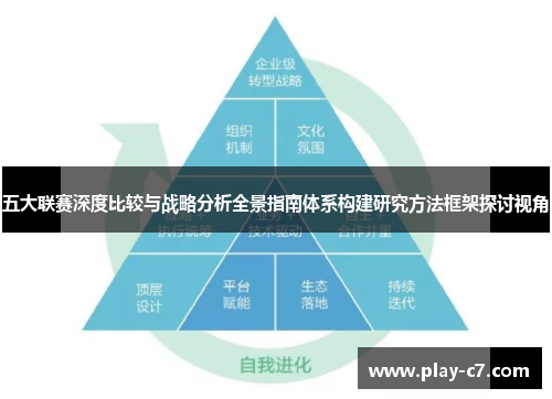 五大联赛深度比较与战略分析全景指南体系构建研究方法框架探讨视角
