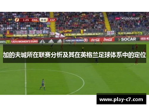 加的夫城所在联赛分析及其在英格兰足球体系中的定位