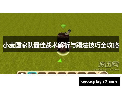 小麦国家队最佳战术解析与踢法技巧全攻略 小麦国家队最佳战术解析与踢法技巧全攻略